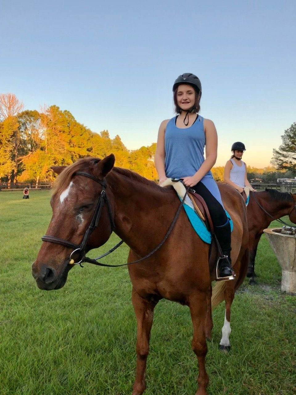 Camp life with Winnie the horse