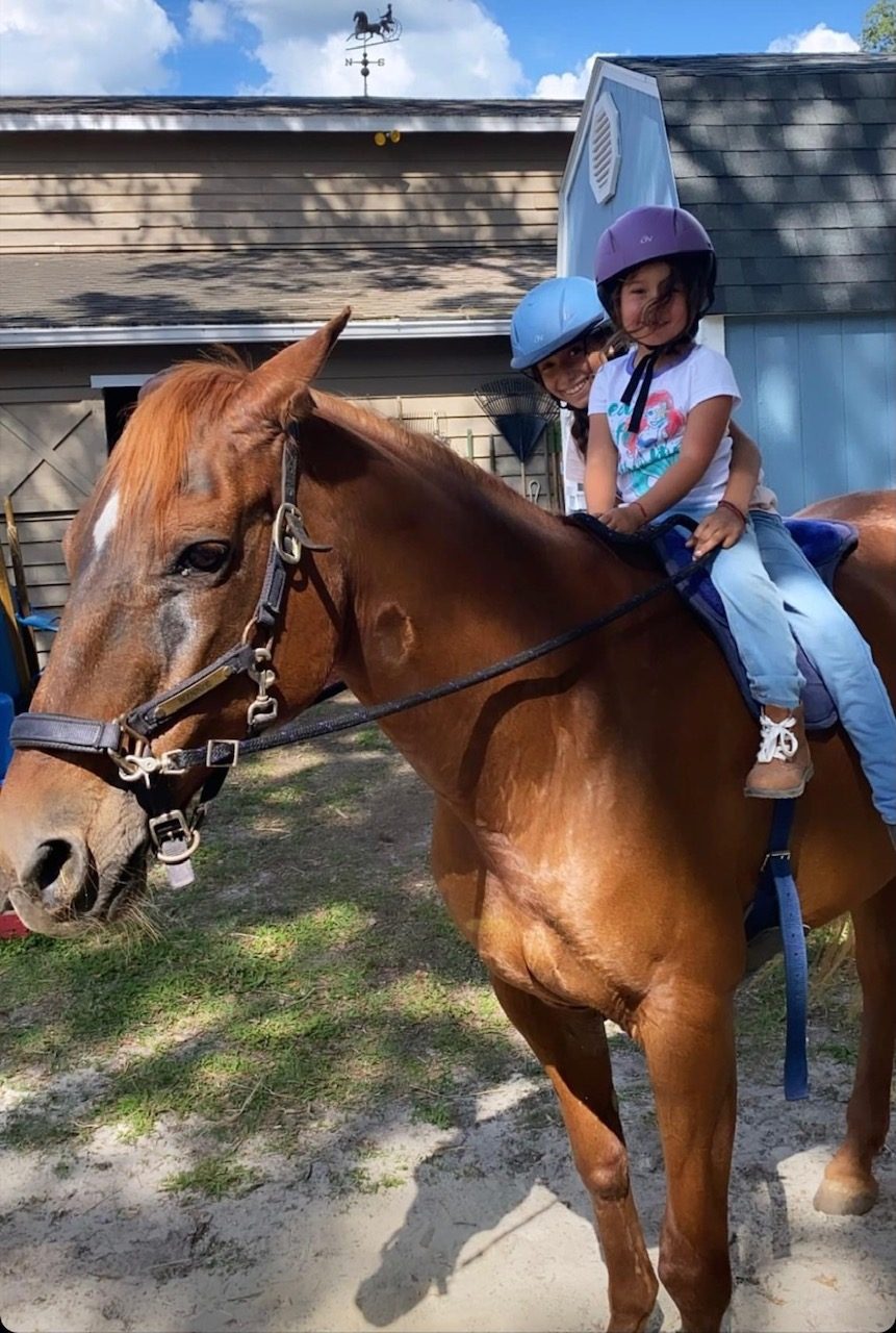 Camp life with Winnie the horse