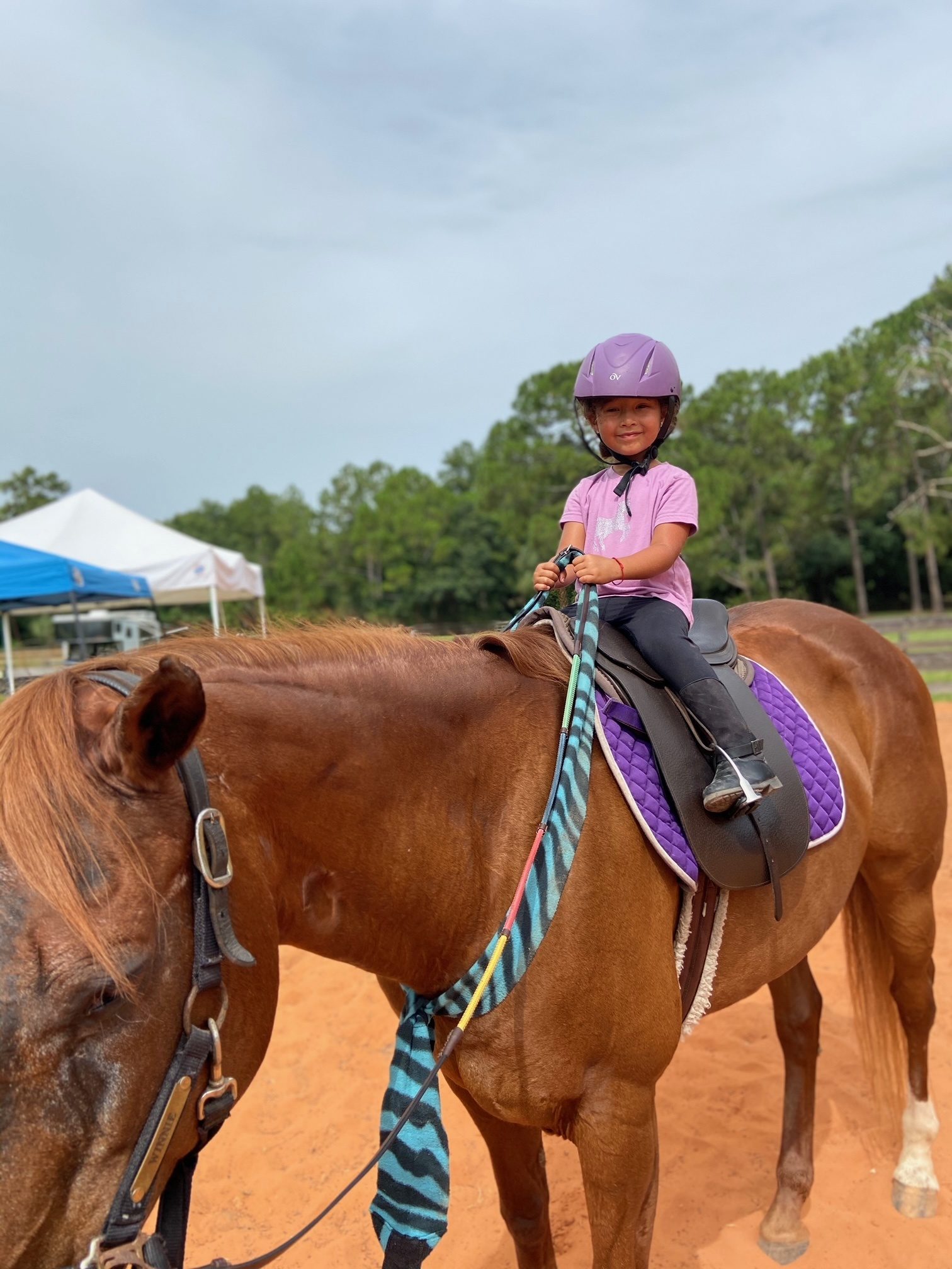 Camp life with Winnie the horse