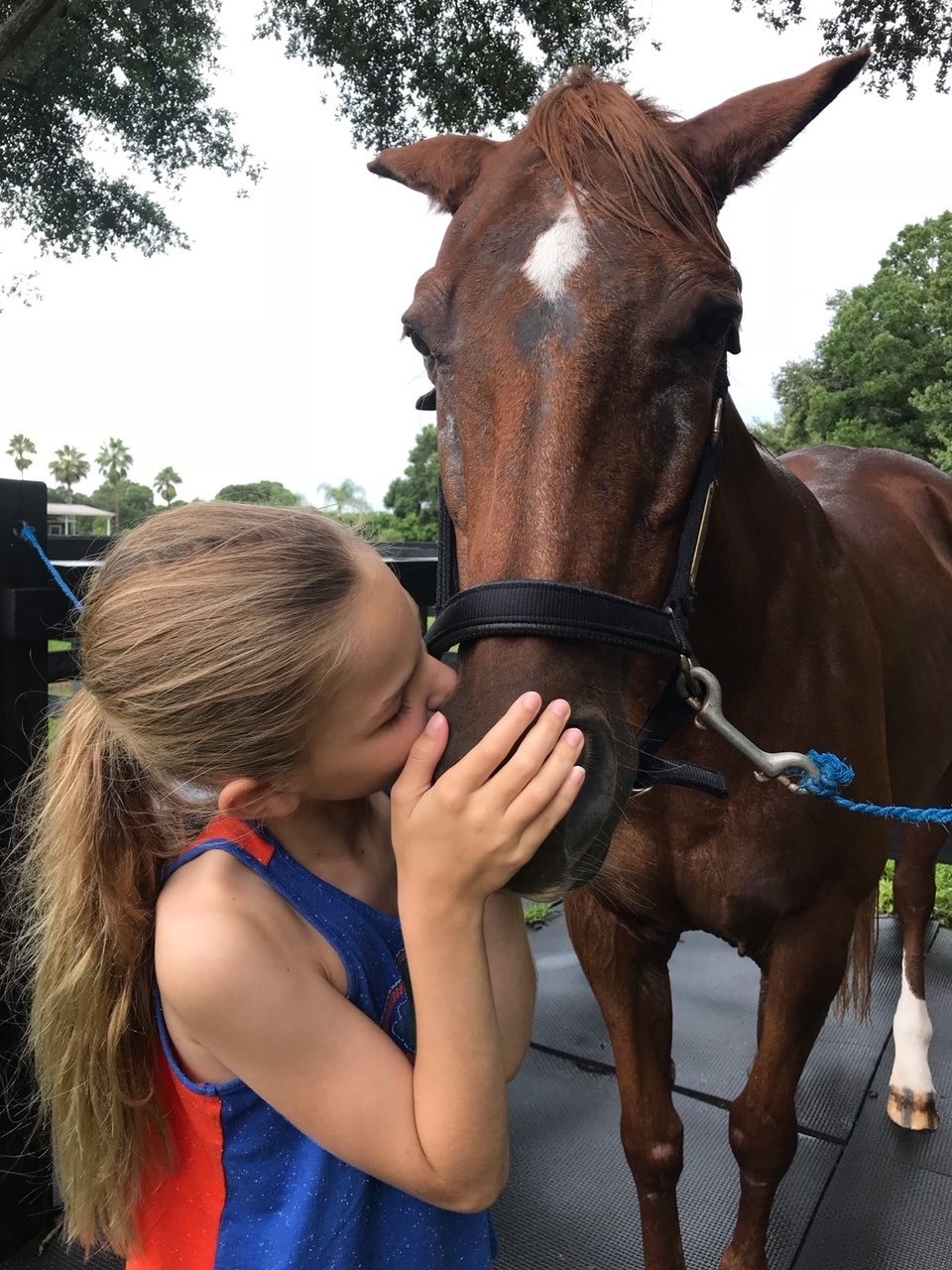 Camp life with Winnie the horse