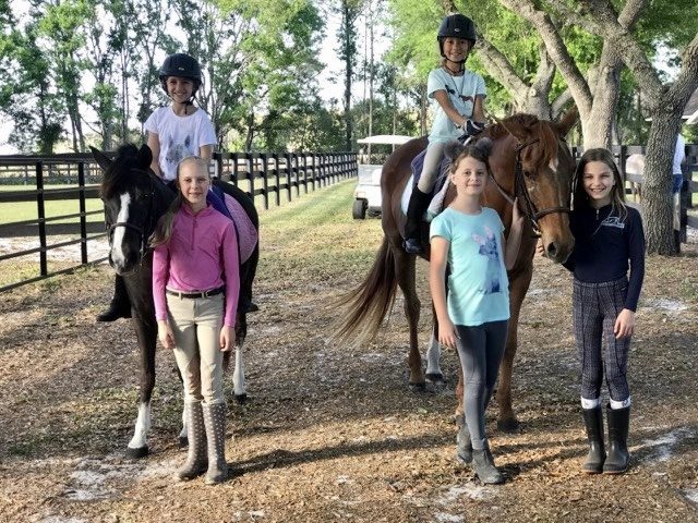 Camp life with Winnie the horse